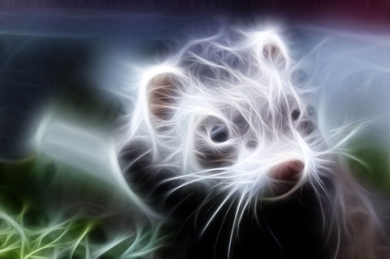 Example Adult Event Three