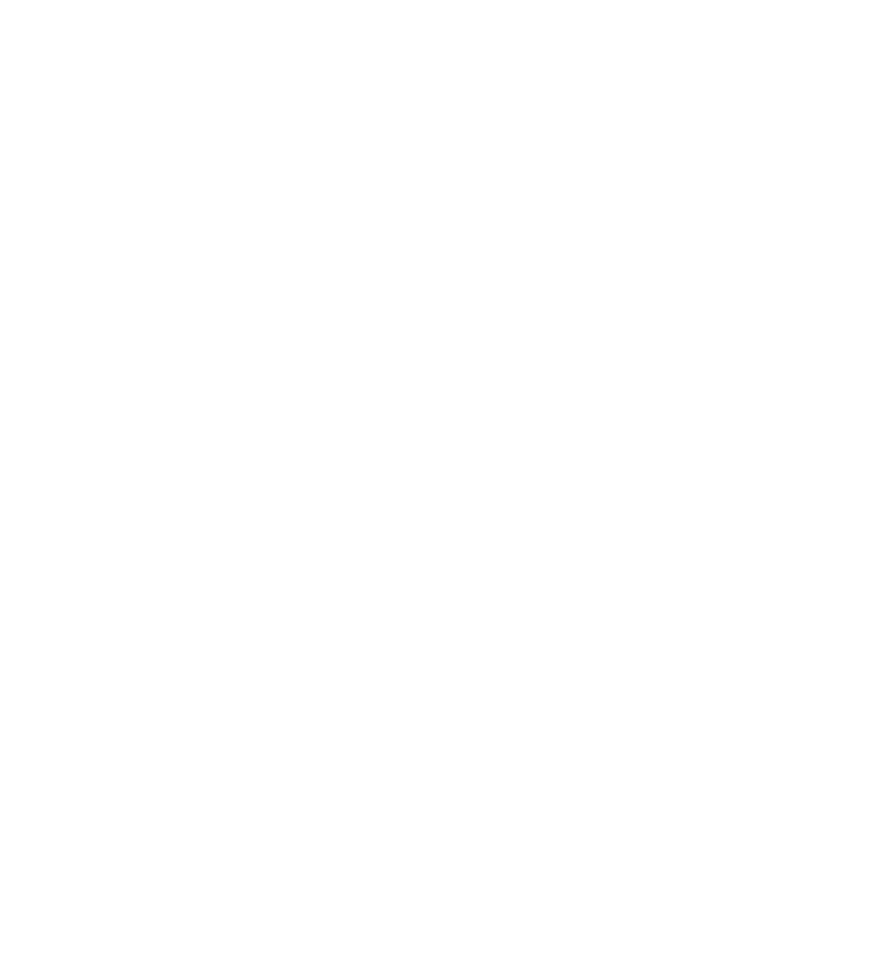 Northern Stage Logo